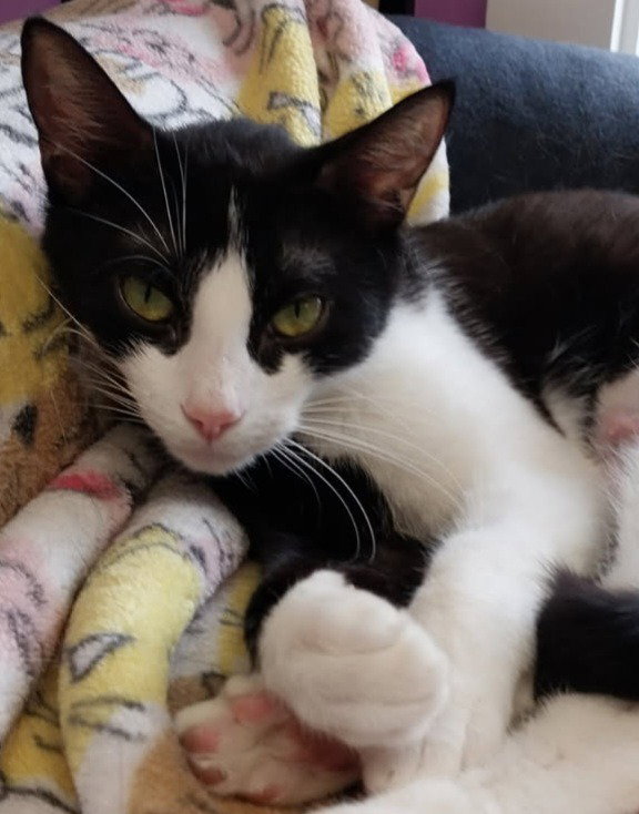 Lugnut * IN FOSTER * Image