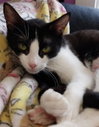 Lugnut * IN FOSTER * - Photo 1