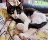 Lugnut * IN FOSTER * - Photo 2