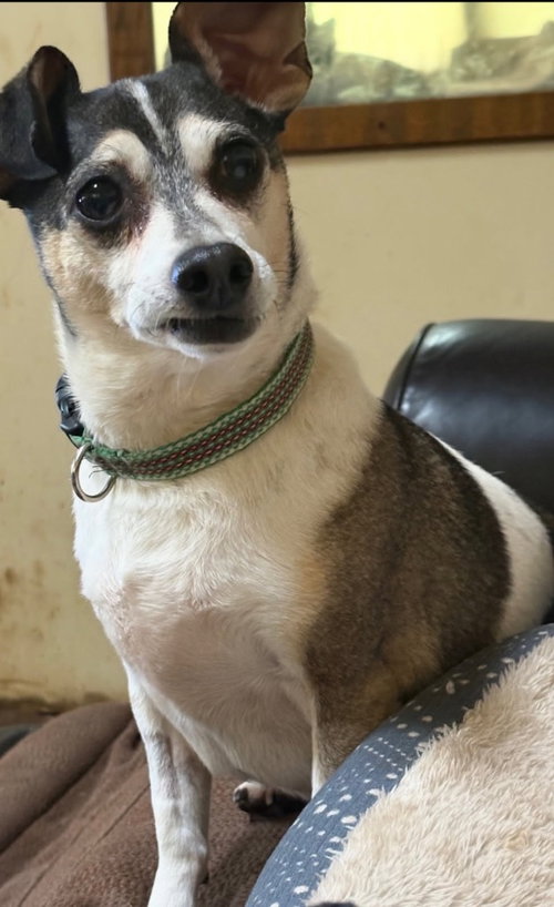 Luke-in a foster home