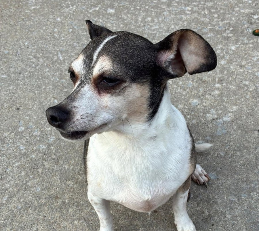 Luke-in a foster home