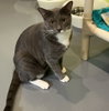 Wyatt - Photo 2