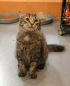 Toki Wartooth - Photo 3