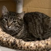 Mishka - Photo 3