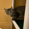 Mishka - Photo 4