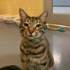 Klaus - Photo 2