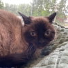 Tia - Photo 1