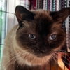 Tia - Photo 4