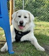 Clark - Photo 1