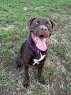 Sheriff - Photo 2