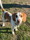 Jace - Photo 2