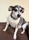 Luke-in a foster home - Photo 2
