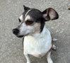 Luke-in a foster home - Photo 4