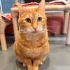 Trucker (was Tucker) - Photo 2