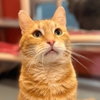 Trucker (was Tucker) - Photo 4