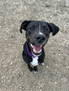 Otis - Photo 1