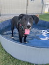 Otis - Photo 4
