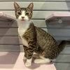 Francesca - Photo 2