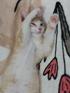 Radiance * IN FOSTER * - Photo 2