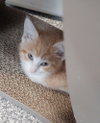 Radiance * IN FOSTER * - Photo 4