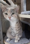 Gloria * IN FOSTER * - Photo 1