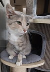 Gloria * IN FOSTER * - Photo 2