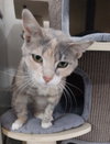 Gloria * IN FOSTER * - Photo 3