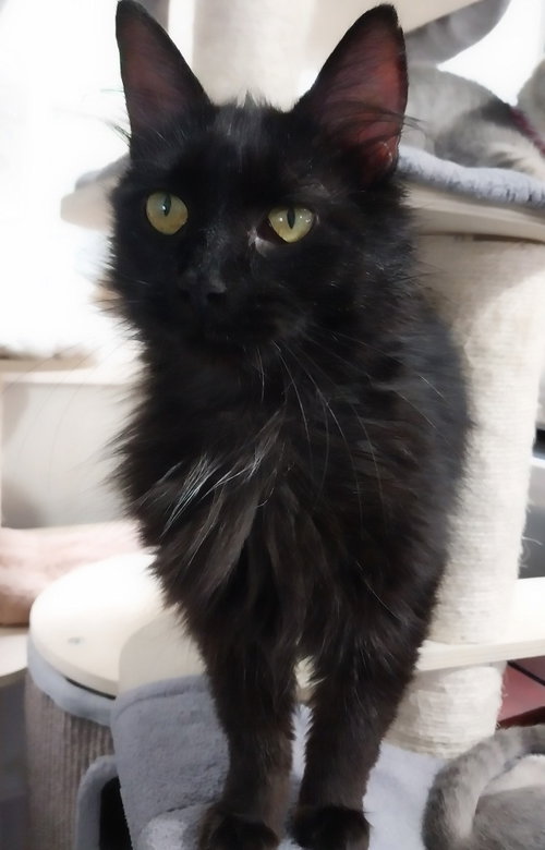 Roxanne *In Foster* photo 4