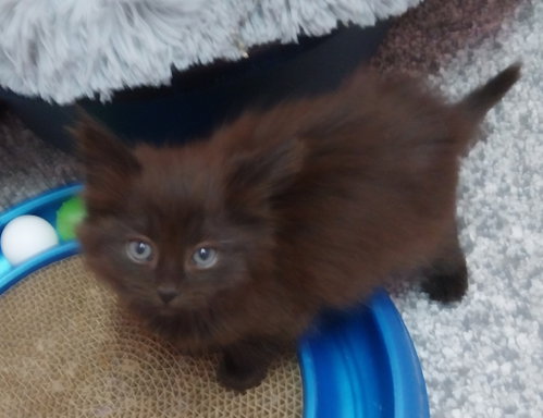 Delta * In Foster * photo 3