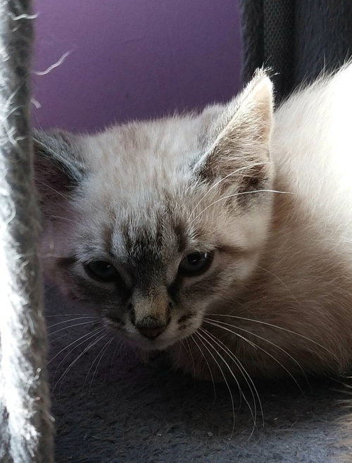 Elliott * In Foster *