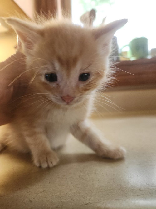 Marty *In Foster* photo 2