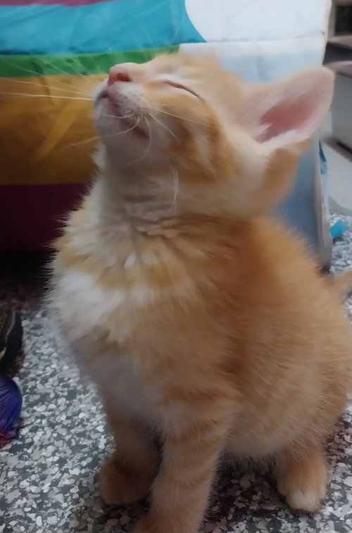 Matty  * In Foster *