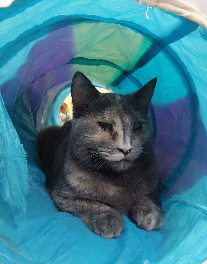 Neptune * IN FOSTER *