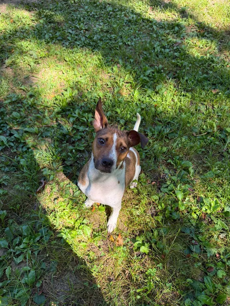 Skye-In Foster Home image 3
