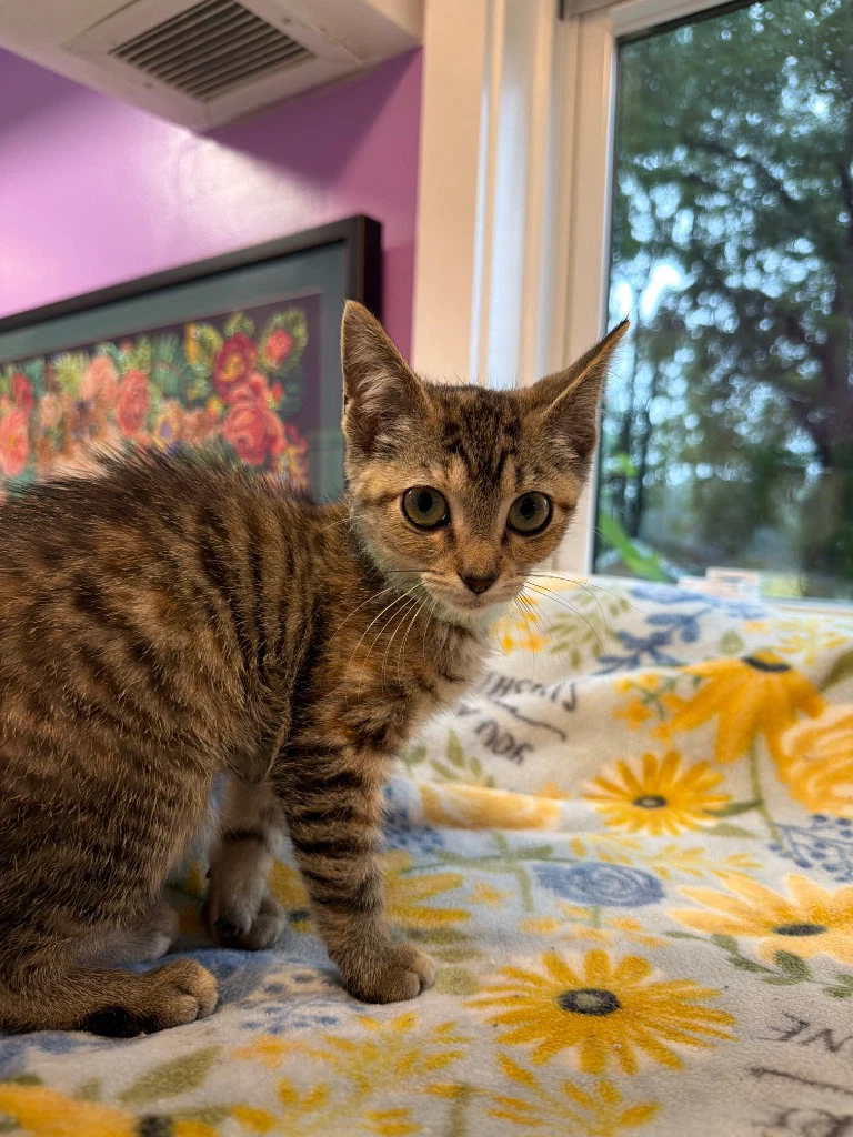 Annalee  In Foster