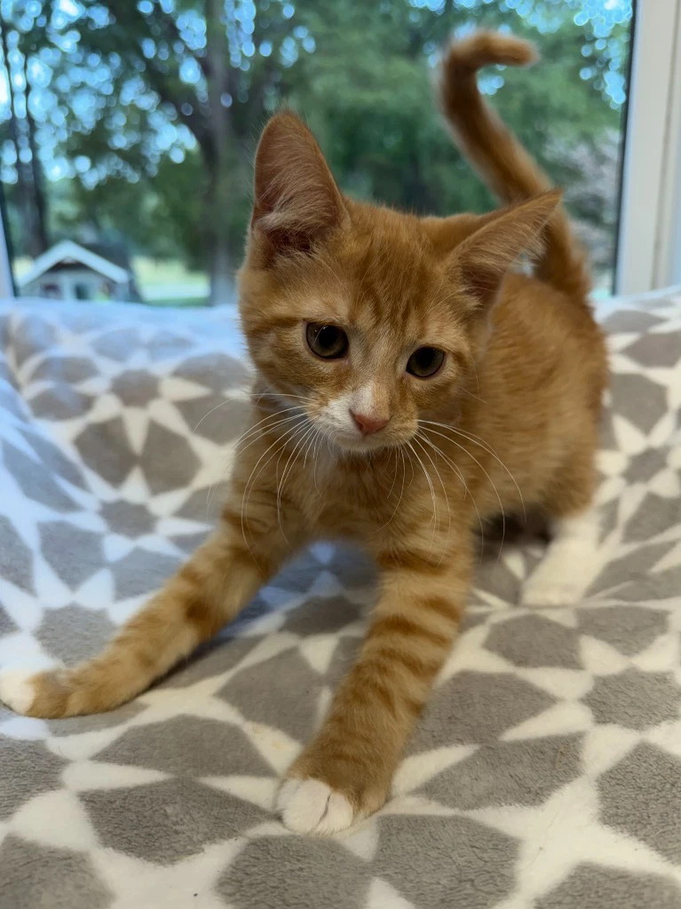 Bert  In Foster