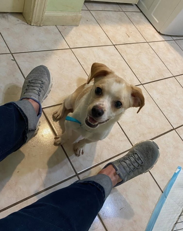 Culver-in a foster home, photo 2