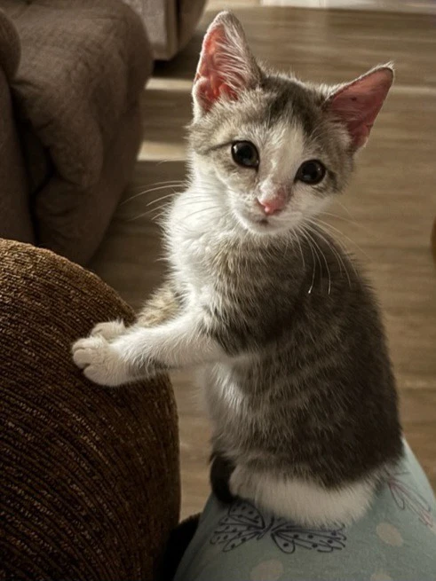 Mikayla  In Foster
