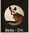 adoptable Dog in appleton, WI named Bella - Texas