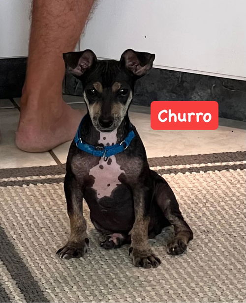 Churro