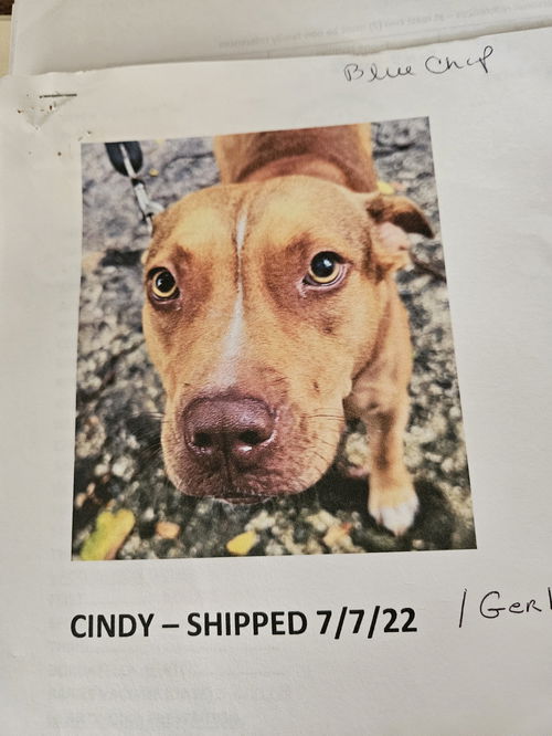 Cindy aka Gerby