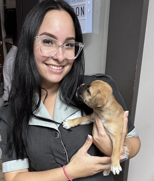 6 Rio Mar Pups  1