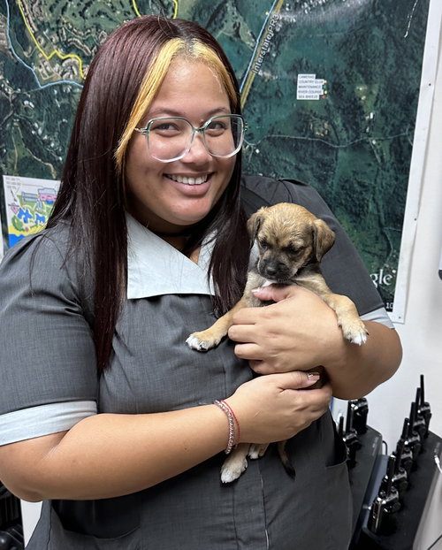 6 Rio Mar pups  3