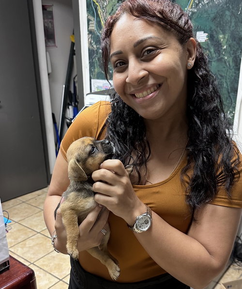 6 Rio Mar pups 5