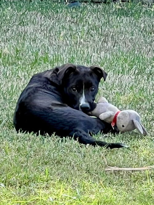 Charles (Foster in PA)