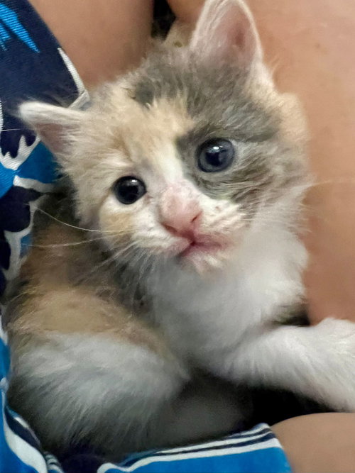 Luna