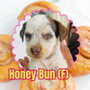 Bella fka Honey Bun