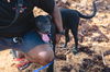Binky (Foster in PR)