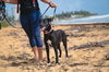Socks (Foster in PR)