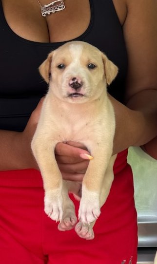 Winnie